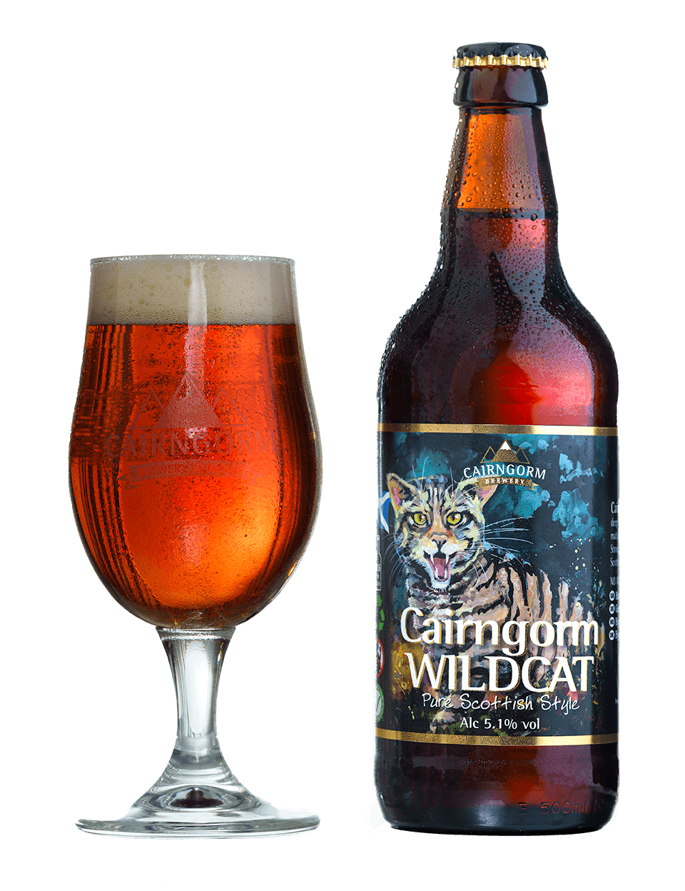 Cairngorm Wildcat Scotland CAMRA Premium Bitters Beer Of The Year cairngorm-wildcat-scotland-camra-premium-bitters-beer-of-the-year